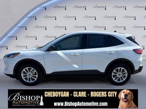Used 2022 Ford Escape SE w/ Cold Weather Package image 12