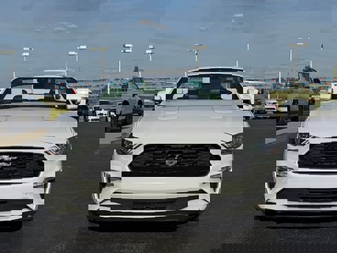 Used 2022 Ford Mustang Premium image 13