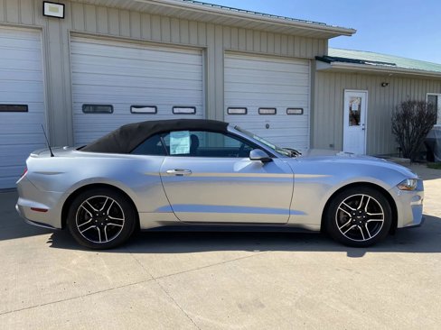 Used 2022 Ford Mustang Premium image 10