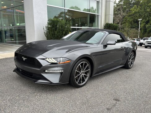 Used 2019 Ford Mustang Premium w/ Equipment Group 201A image 1