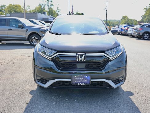 Used 2020 Honda CR-V EX-L image 6