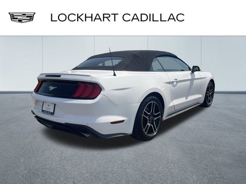 Used 2023 Ford Mustang Premium image 8