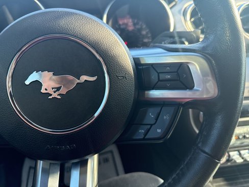 Used 2019 Ford Mustang Coupe w/ Equipment Group 101A image 16