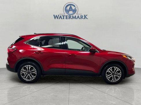 Used 2020 Ford Escape SEL image 6