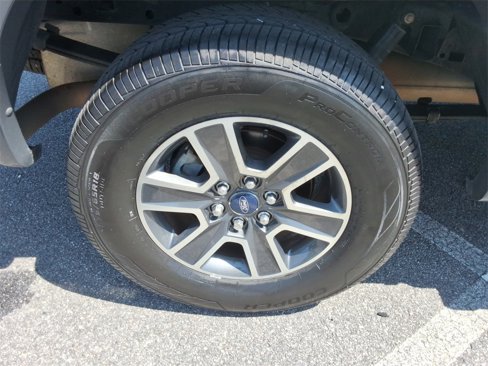 Used 2016 Ford F150 XLT w/ Equipment Group 302A Luxury image 13