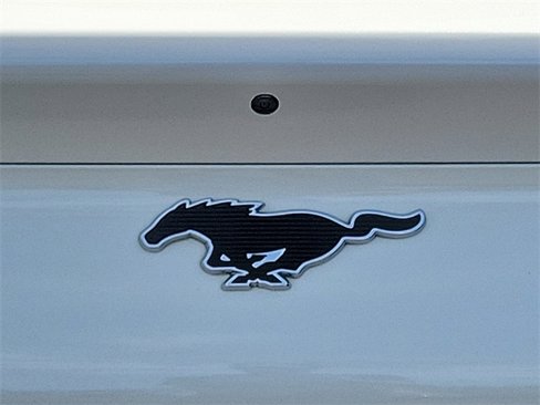 Used 2021 Ford Mustang Mach-E Premium image 20