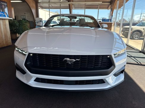 New 2025 Ford Mustang Premium image 2