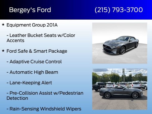 Certified 2019 Ford Mustang Premium w/ Equipment Group 201A image 4
