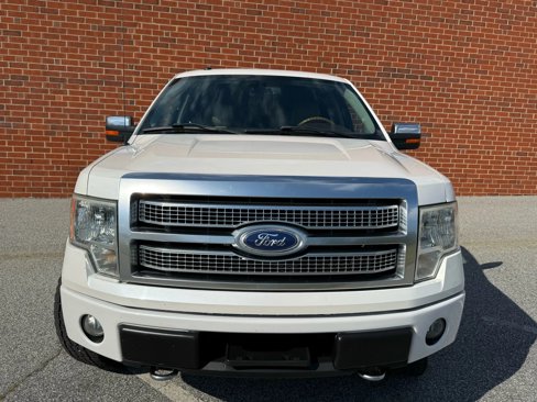 Used 2010 Ford F150 Platinum image 2