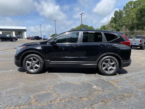 Used 2019 Honda CR-V EX-L image 4