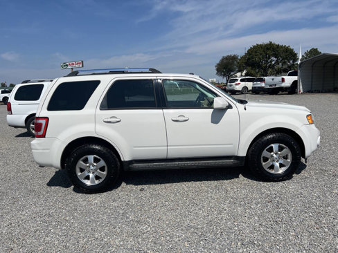 Used 2009 Ford Escape Limited image 5