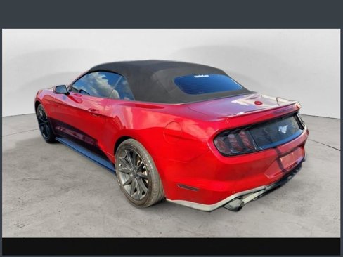 Used 2019 Ford Mustang Premium w/ Equipment Group 201A image 3