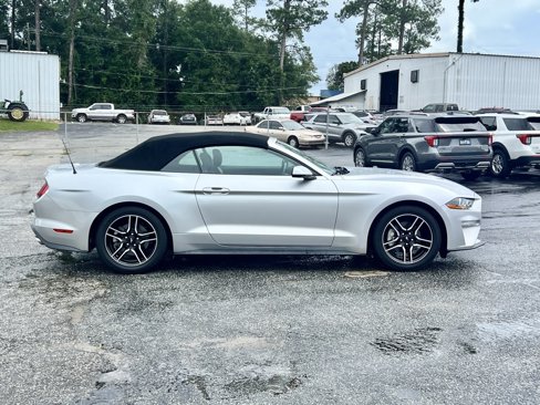 Used 2019 Ford Mustang Premium image 14
