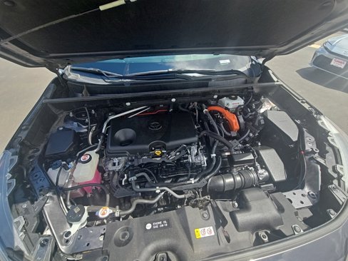 Used 2019 Toyota RAV4 Limited image 12