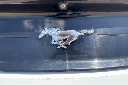 Used 2019 Ford Mustang Premium image 9