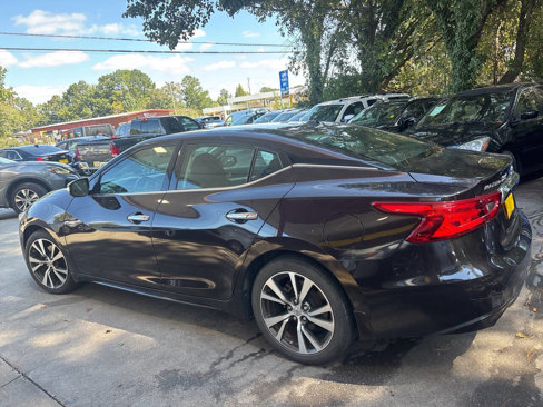 Used 2016 Nissan Maxima 3.5 SL w/ Interior Lighting Package image 15