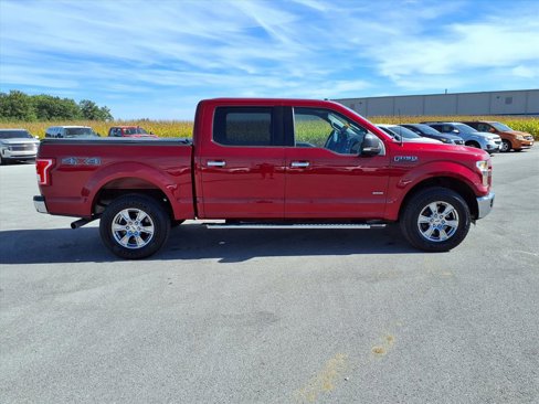 Used 2016 Ford F150 XLT w/ Equipment Group 302A Luxury image 4