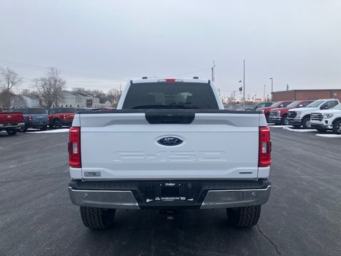 Used 2023 Ford F150 XLT image 4