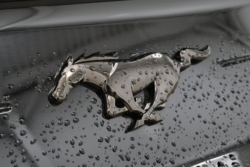 Used 2020 Ford Mustang Premium image 10