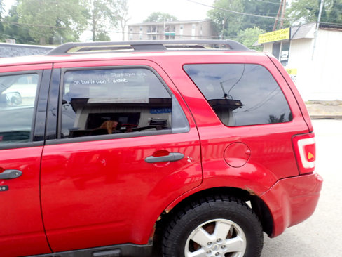 Used 2010 Ford Escape XLT image 20