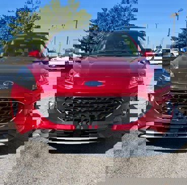 Used 2020 Ford Escape SEL image 4