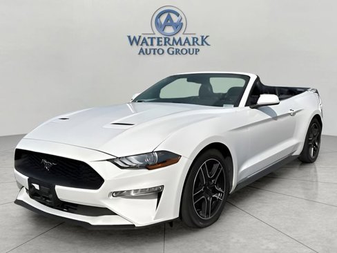 Used 2022 Ford Mustang Premium image 1