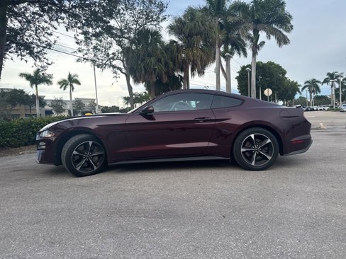 Used 2018 Ford Mustang GT w/ Equipment Group 301A image 8