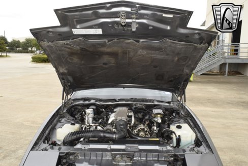 Used 1988 Pontiac Firebird Trans Am image 18
