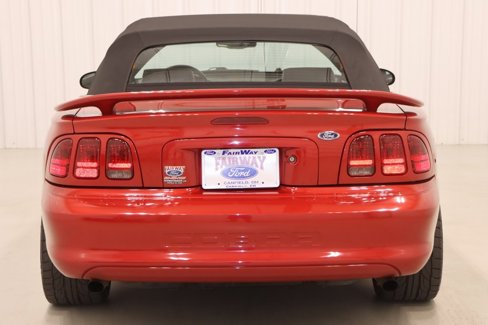 Used 1998 Ford Mustang Cobra image 8