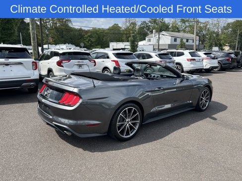 Certified 2019 Ford Mustang Premium w/ Equipment Group 201A image 12