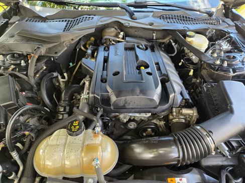Used 2016 Ford Mustang Premium w/ Equipment Group 201A image 23