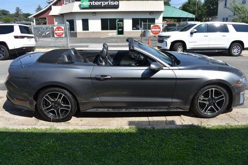 Used 2023 Ford Mustang Premium image 5