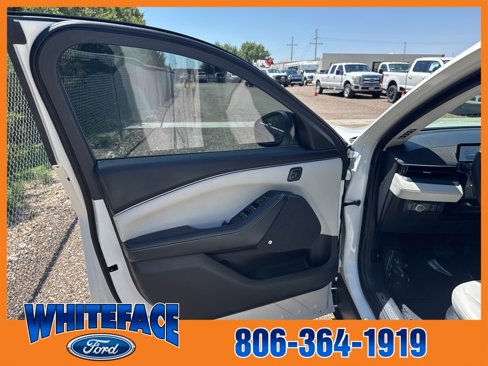 Used 2021 Ford Mustang Mach-E Premium image 38