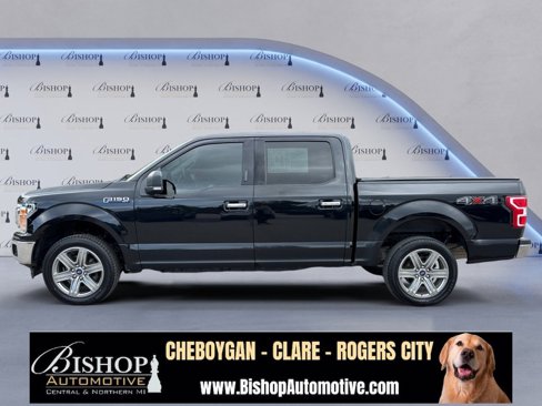 Used 2018 Ford F150 XLT w/ Equipment Group 302A Luxury image 13