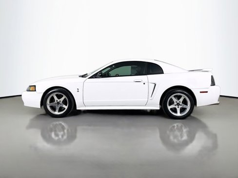 Used 2001 Ford Mustang Cobra image 4