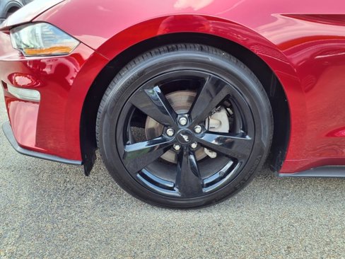 Certified 2021 Ford Mustang Coupe w/ Equipment Group 101A image 7