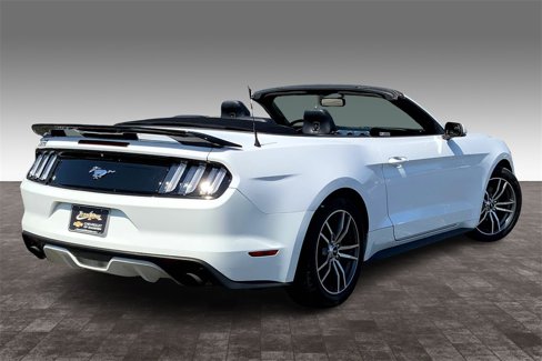 Used 2017 Ford Mustang Premium image 14