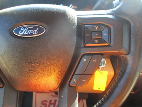 Used 2019 Ford F150 XLT w/ Equipment Group 301A Mid image 12