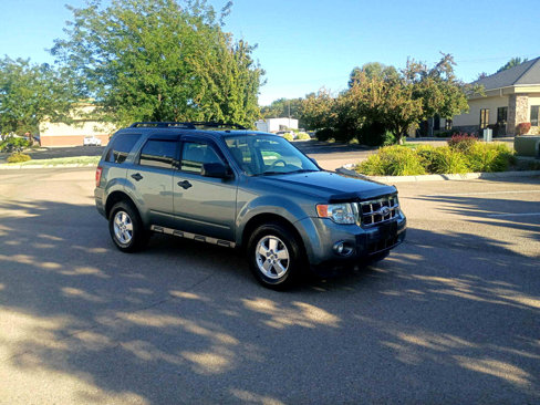 Used 2011 Ford Escape XLT w/ 203A Rapid Spec Order Code image 7