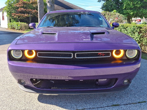 Used 2016 Dodge Challenger R/T Plus image 2