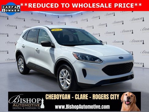 Used 2022 Ford Escape SE w/ Cold Weather Package image 11