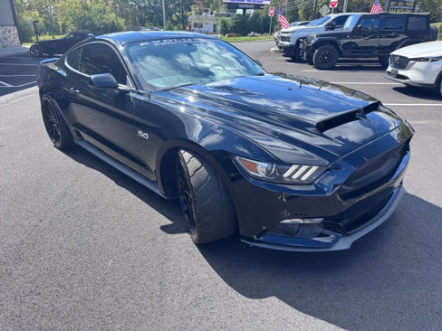 Used 2015 Ford Mustang GT Premium w/ Equipment Group 401A image 2