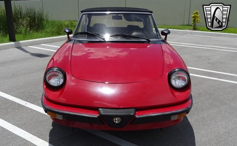 Used 1986 Alfa Romeo Spider Graduate image 15