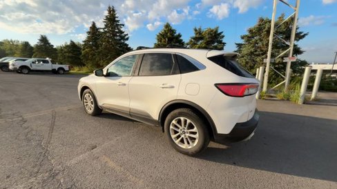 Used 2020 Ford Escape SE image 8