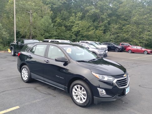 Used 2019 Chevrolet Equinox LS image 1