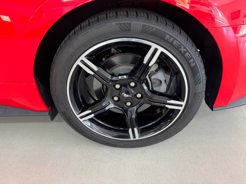 Used 2019 Ford Mustang GT Premium w/ Equipment Group 401A image 34