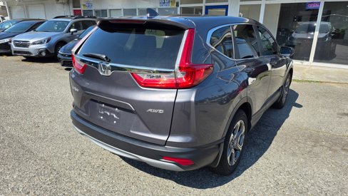 Used 2019 Honda CR-V EX-L image 5