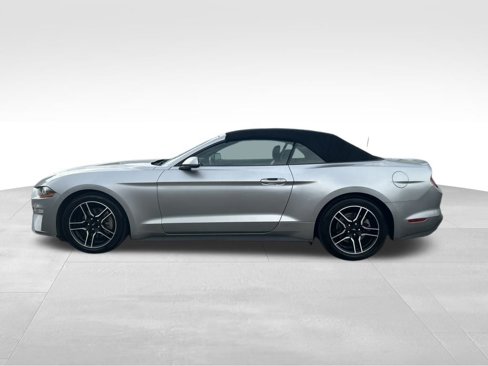 Certified 2022 Ford Mustang Premium image 2