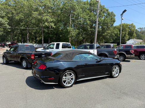 Used 2016 Ford Mustang Premium w/ Equipment Group 201A image 6
