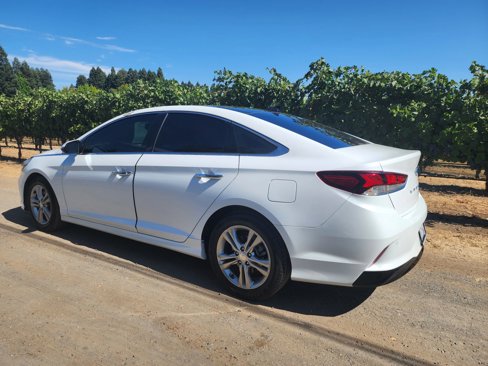 Used 2019 Hyundai Sonata Limited w/ Ultimate Package 04 image 6